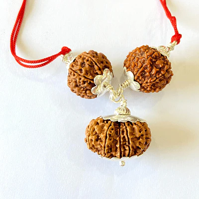 7,8 & 14 Mukhi Rudraksha Combination For (Brokers & Indsutrialists) - Image 3