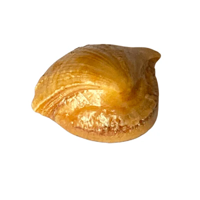 Machmani - 10.35 carat - Image 3