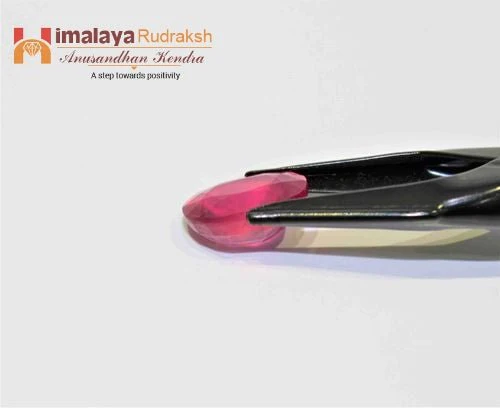 Ruby (Manik) - 8.80 cts - Image 2