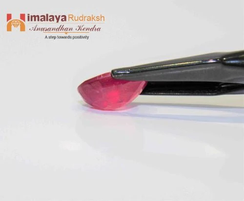 Ruby (Manik) - 8.80 cts - Image 3